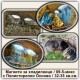 Проходна пещера Магнити за хладилници 09-5